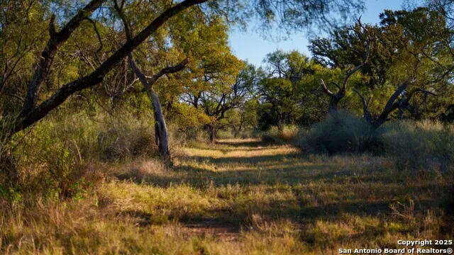 7702 ranch road 965 Llano, TX 78643